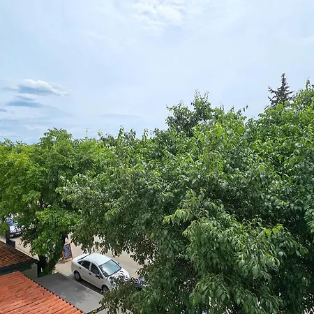 Olga Apartament Novigrad (Istria)