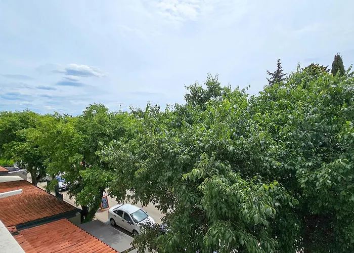 Olga Daire Novigrad Istria